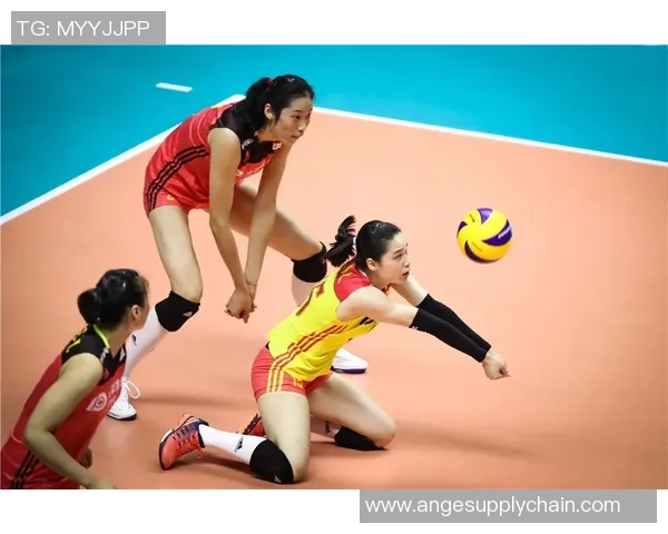 广州排球队实力强劲荣登排球个人能力排行榜第二名